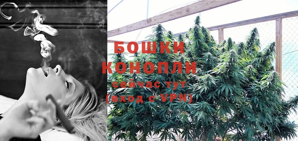 крисы Козловка