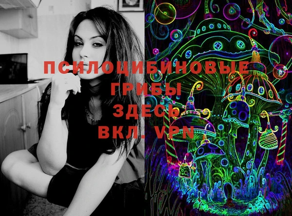 хмурый Кодинск