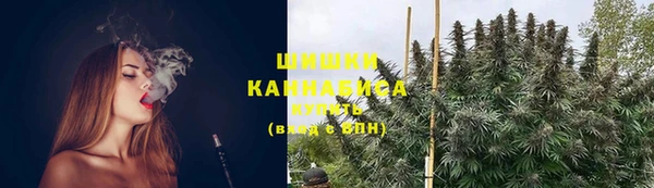 крисы Козловка