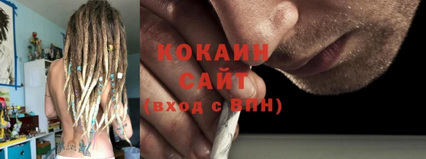 крисы Козловка