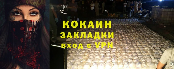 крисы Козловка