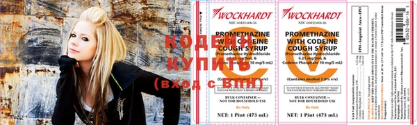 хмурый Кодинск