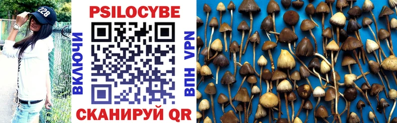 Псилоцибиновые грибы Psilocybine cubensis  Краснокамск 