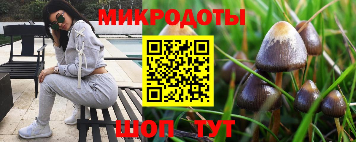 Галлюциногенные грибы мухоморы Краснокамск